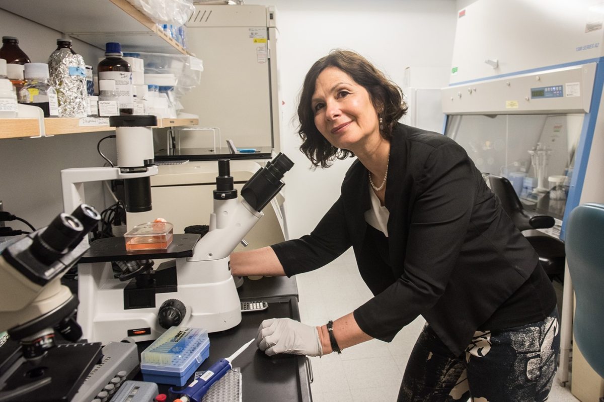 Bana Jabri, MD, PhD