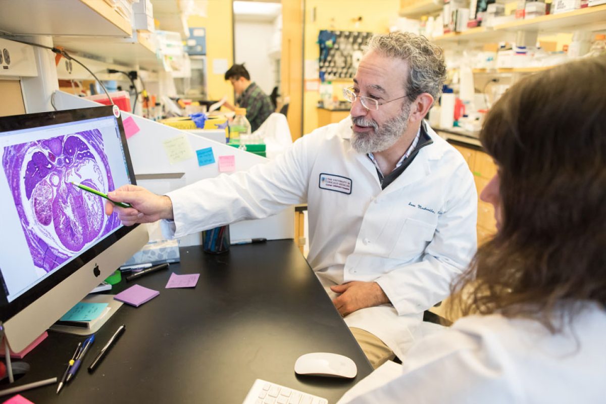 Ivan Moskowitz, MD, PhD